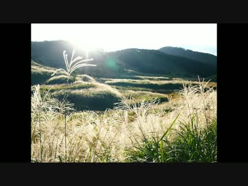 いっちょ砥峰高原に行ってみようか
