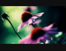 DJ MIXING LATE IN SUMMER MIX 20140824