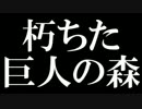 【 ダークソウル２ 実況 】魔法使いと不思議な落下物59話【初見】