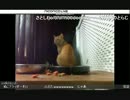 8/24-25ドキュメント＠じさんクルーズ完走記念