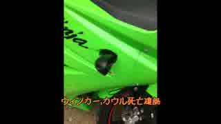 Ninja250Rでどっか行こう Part.3 道志ツーリング編