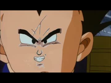 【小ネタ集】メチャクチャ馬鹿で自重しないパラガスたち