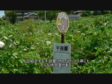 【迷バス停】不思議な屋根の千田屋ーねー