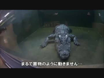 相棒と旅する　～日帰り編Part2-1～ 【Ninja400】