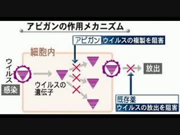 【韓国の反応】 日本がエボラ治療薬を提供・・・韓国人『これも