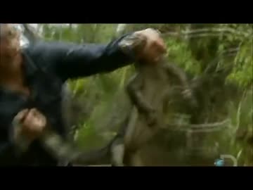 Man vs Wild S04E03 - Jungle Swamp(1)