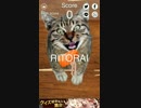 Sashimi Dash (刺身ダッシュ) をプレイしてみた