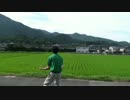 夏が終わるので叫んでみた【ステータス異常P&故P】