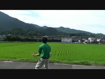 夏が終わるので叫んでみた【ステータス異常P&amp;故P】