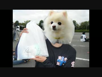 【中部】　ジムカーナ参戦ドキュメンタリー　第２戦　【ダンロップ杯】