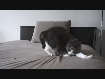 【モアクリ】 ななめステップ