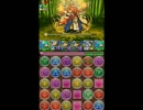 【パズドラ】海山パ ネタパで天極