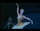 ゼナイダ・ヤノウスキー【森の女王】