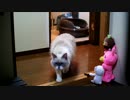 日常時定