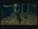 [ダークソウル２]竜騎兵で３週目攻略　その８[DARK_SOULS_II]