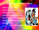 Famous appliance repair service Milton