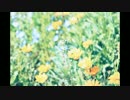 【初投稿】ハロ/ハワユ　アコースティックVer.　歌ってみた【なぽ】
