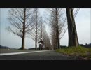 【CB400SF】初心者ちびライダーのお花見ツーリング Part3 帰宅編