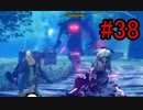 ＃38華憐な妹達を倒す旅ドラッグオンドラグーン3実況【DOD3】