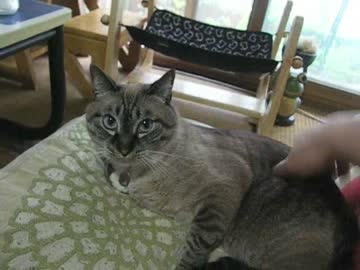 ジャンくん空中移動練習を楽しむ