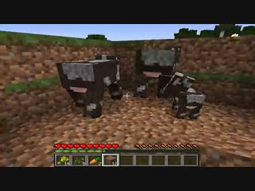 【日刊】マインクラフト〝ほぼ〝初見プレイ【Minecraft】■part25