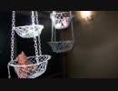 ふらっと探索実況２０１３part１3