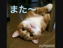 そらの日常