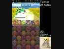 【パズドラ】カネツグ降臨！超地獄級 インドラＰＴ