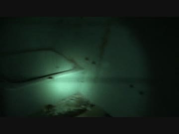 第十六回　実況肝試し　【徳島県】　ニュー鳴門　2/2