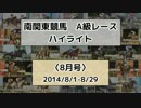 南関東競馬A級レースハイライト【2014年8月号】