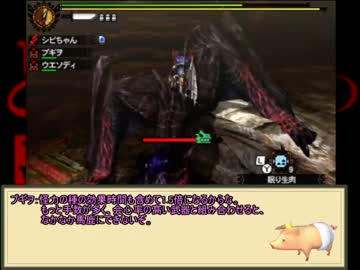 続・とあるシビルドンの流離狩猟 part11