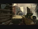 キルレを死ぬほど気にしていくCoD:G SR TDM その３