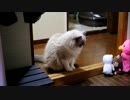 真夜中の語らい時定