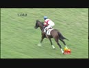 3歳上500万_ダノンシンフォニー