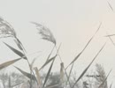 【Sepia mp】　Hometown　【オリジナルピアノ楽曲】
