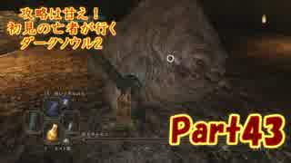 【実況】攻略は甘え！初見の亡者が行くダークソウル2【DarkSoulsII】part43