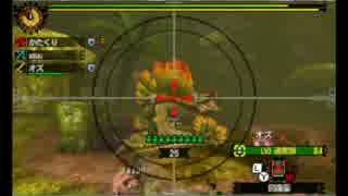 【MH4】タイトル未定(狩)第18回【実況】