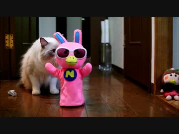 げんきにぬいぐるみとあそびましょう時定