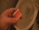 フルーツロールアップをトイレに流してみた