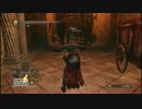 【魔法を】ほぼ初対面の二人がダクソ2で騒ぐ64【使えよ】