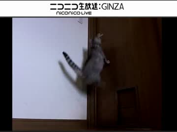 雨上がりの午後、ねむさん垂れ流し_20140823 コメあり