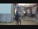 【秋田犬】大きいんです【海くん】