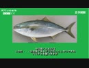 デブフェッショナル～体重150kg超からの減量～debu33