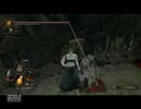 【ダークソウル２】続・太陽でがんばります  １３【実況】
