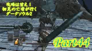 【実況】攻略は甘え！初見の亡者が行くダークソウル2【DarkSoulsII】part44