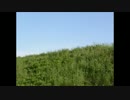 Matter　【自作曲】