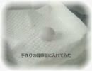 雛ちゃんがんばれ.mov
