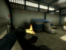 CSGODigest12