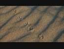 【志方あきこ】民族調オルゴールメドレー【オルゴール】