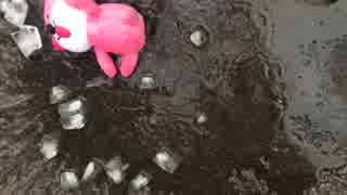 氷水浴びに挑戦！